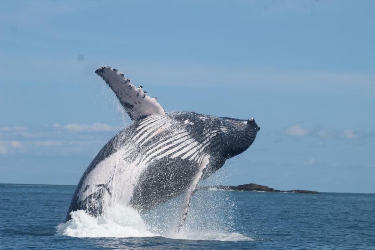Casa Uvita Bay Bagian luar foto